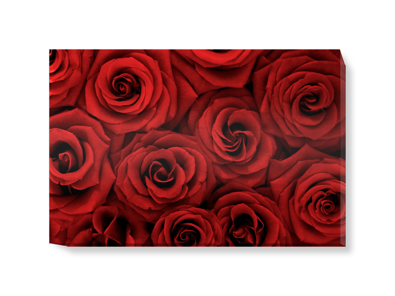 'Red Roses' Canvas Wall Art