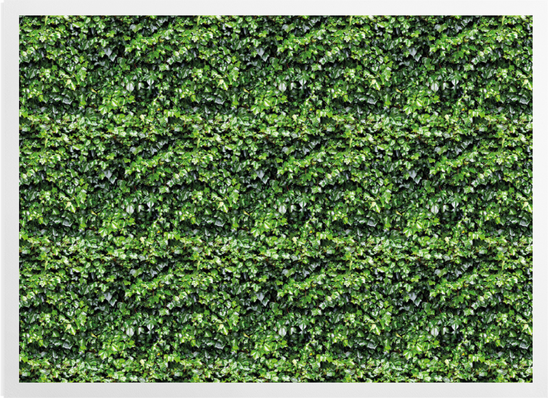 'Ivy Wall Garden Green' Art Prints
