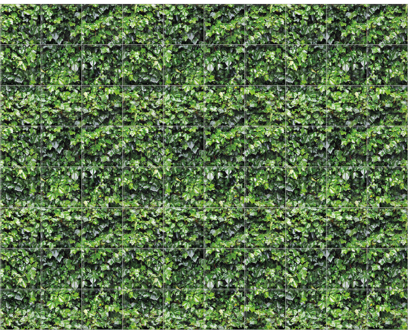 Ivy Wall Garden Green Ceramic Tile Mural Surfaceview Ivy Wall Garden Green Ceramic Tile Mural Surfaceview