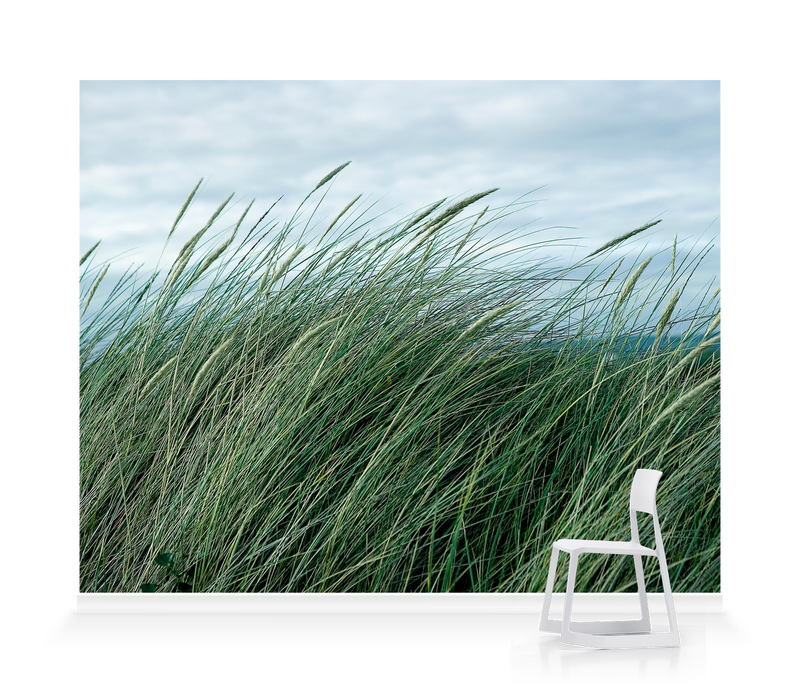 Seagrass’ Wallpaper Mural | Surface View