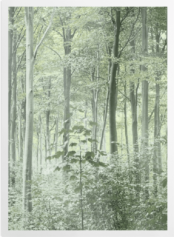 'Woods' Art Prints