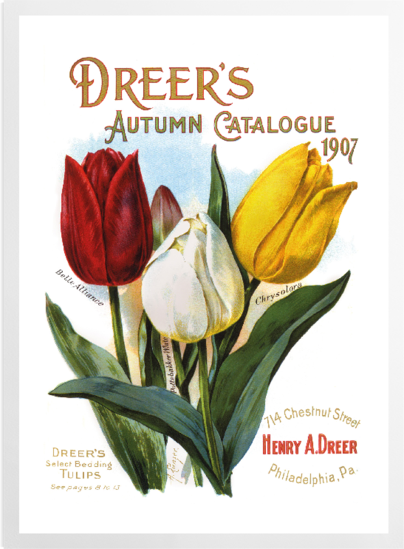 'Dreer's Autumn Catalogue' Art Prints