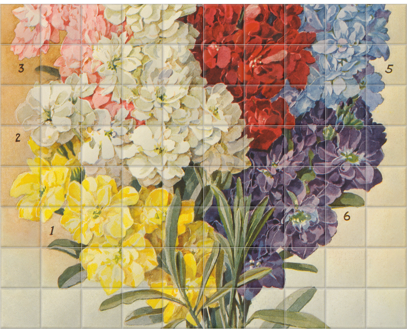 'Dreer's Large Flowering' Ceramic Tile Mural