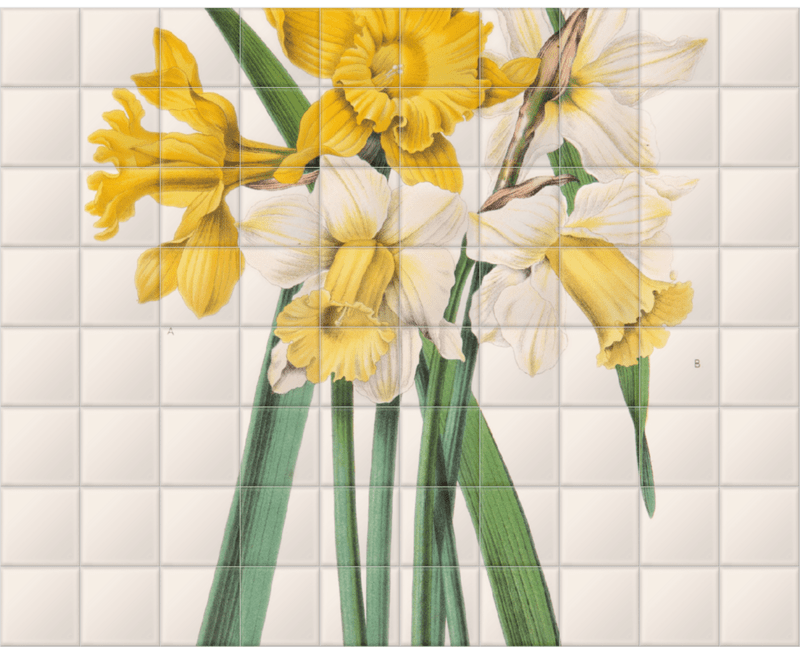 'Narcissus Maximus' Ceramic Tile Mural