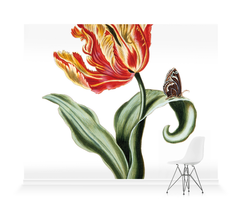 'Tulipa XXIV Parquit Monstre 145' Wallpaper Mural