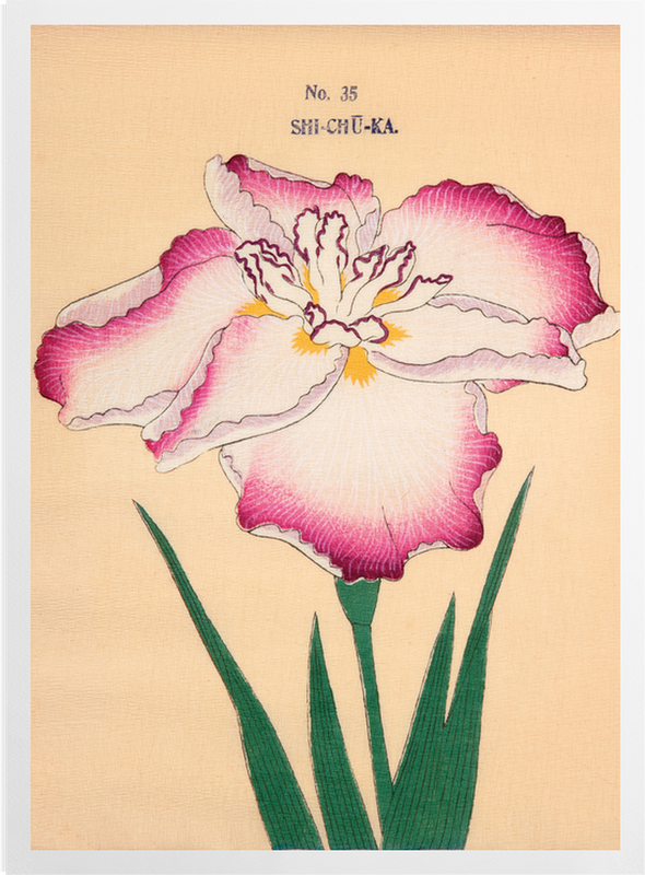 'No. 35, Shi-Chu-Ka' Art Prints