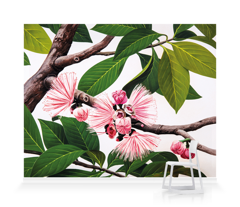 'Malay Apple [Eugenia malaccensis]' Wallpaper Mural