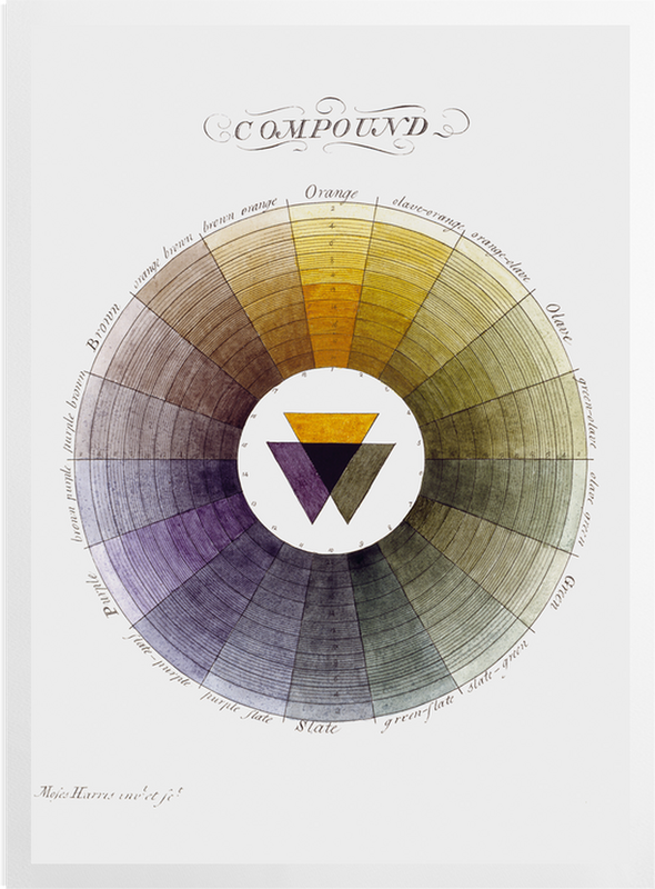 'Compound Colour Wheel' Art Prints