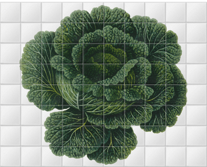 'Savoy Cabbage' Ceramic Tile Mural