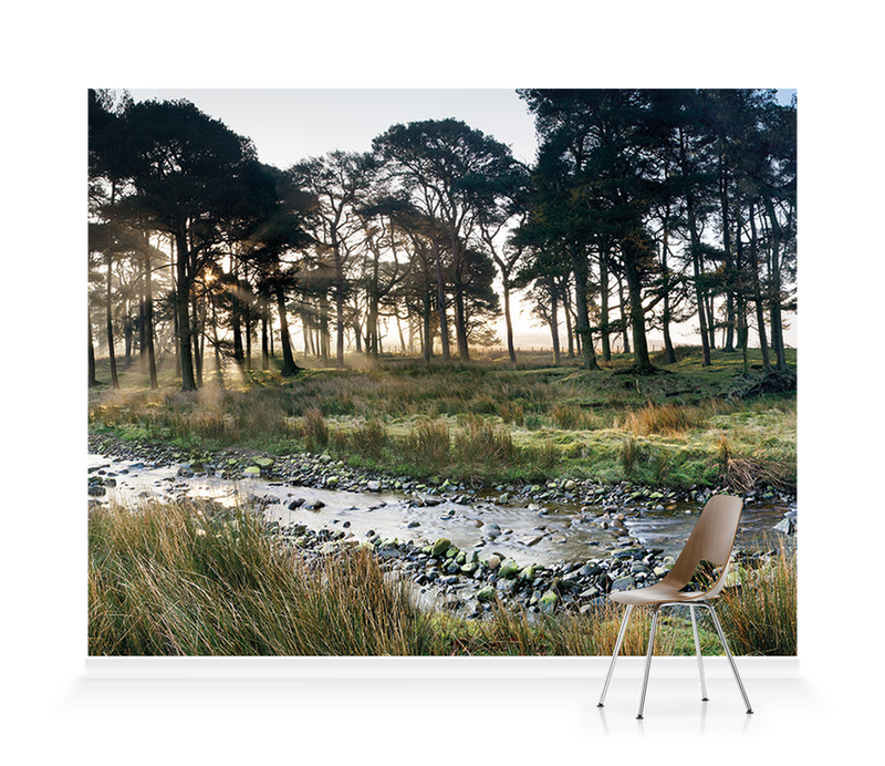 'Forest of Bowland II' Wallpaper Mural