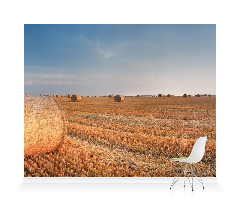 'Round Wheat Bales In Field After Harvesting' Wallpaper Mural