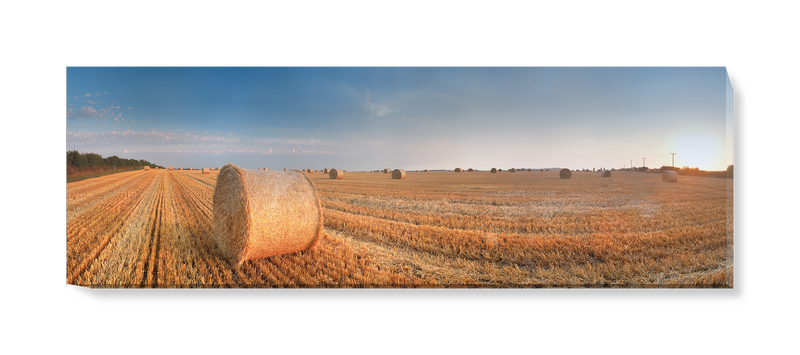 'Round Wheat Bales In Field After Harvesting' Canvas Wall Art