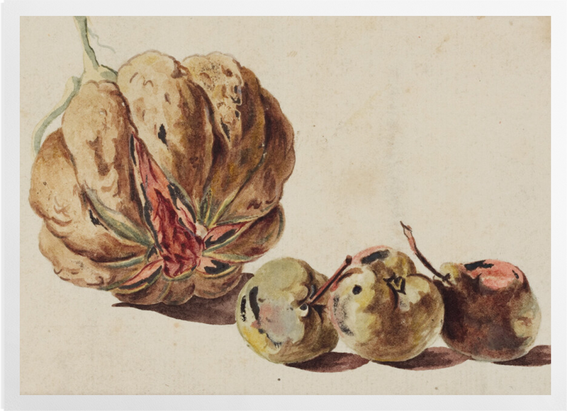 'Harvest' Art Prints