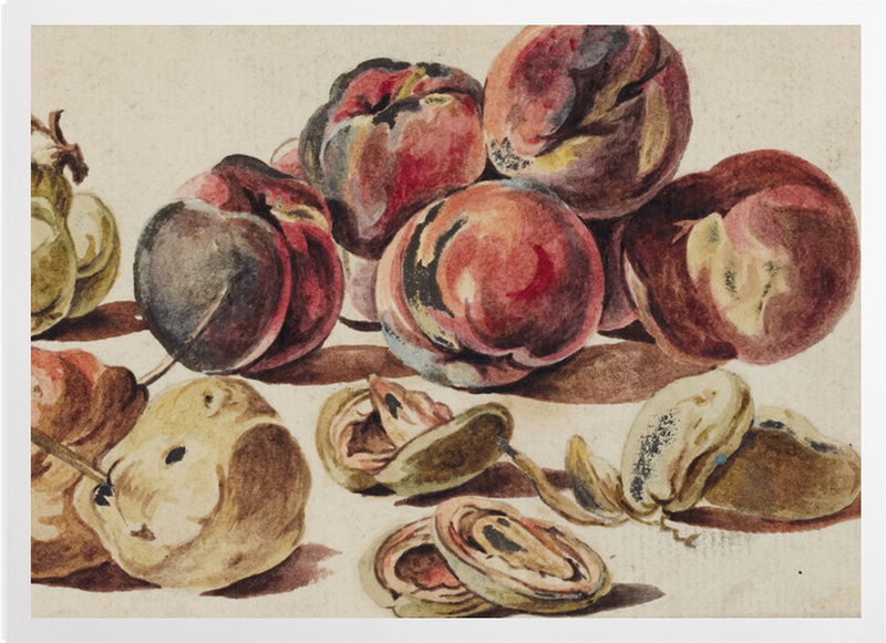 'Peaches & Pears' Art Prints
