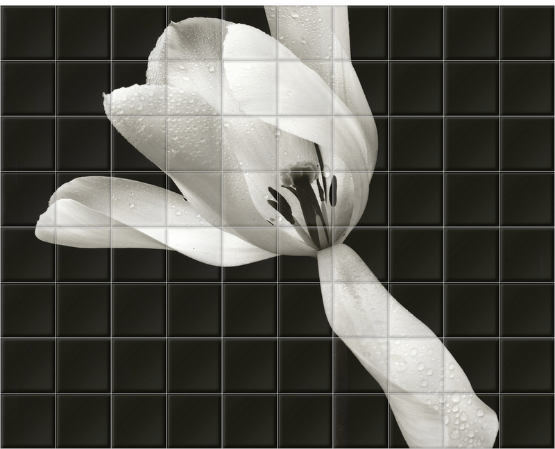 'White Tulip' Ceramic Tile Mural