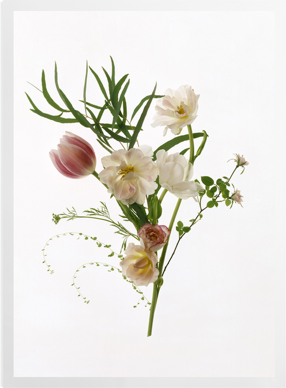 'February Flowers' Art Prints | SurfaceView