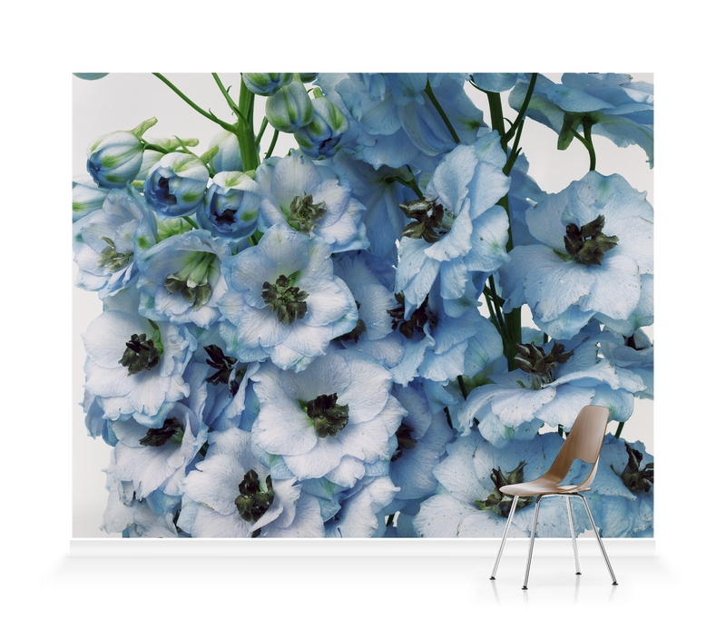 Gathered Larkspur' Wallpaper Mural | SurfaceView Gathered Larkspur' Wallpaper Mural | SurfaceView