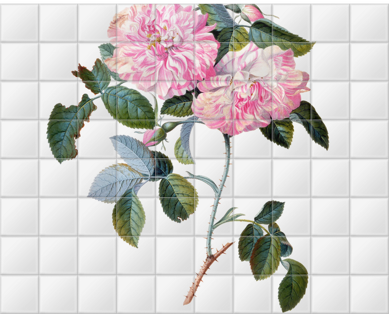 'Striped Monthly Rose' Ceramic Tile Mural