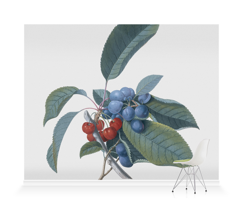 'Red Cherries and Damsons' Wallpaper Mural