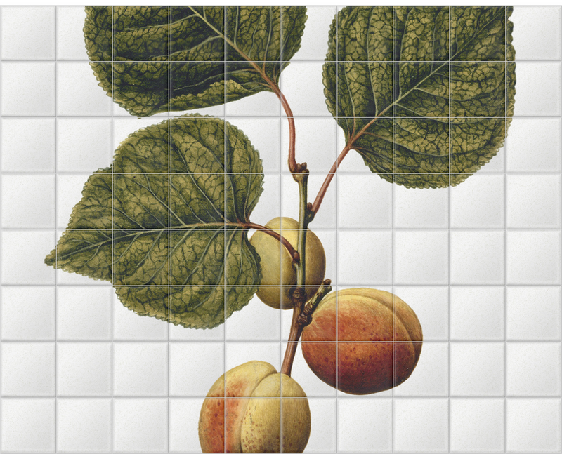 'Nectarines' Ceramic Tile Mural