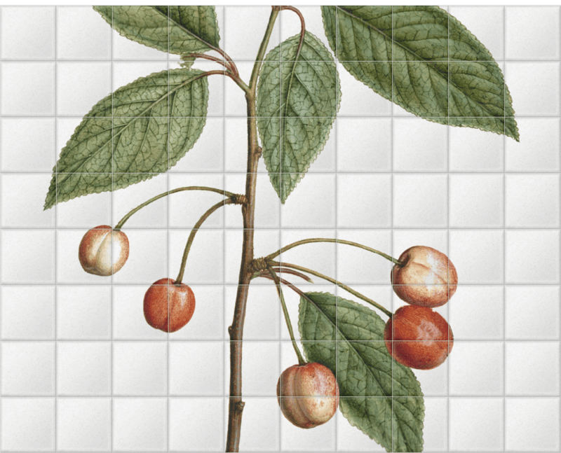 'Cherry' Ceramic Tile Mural | SurfaceView