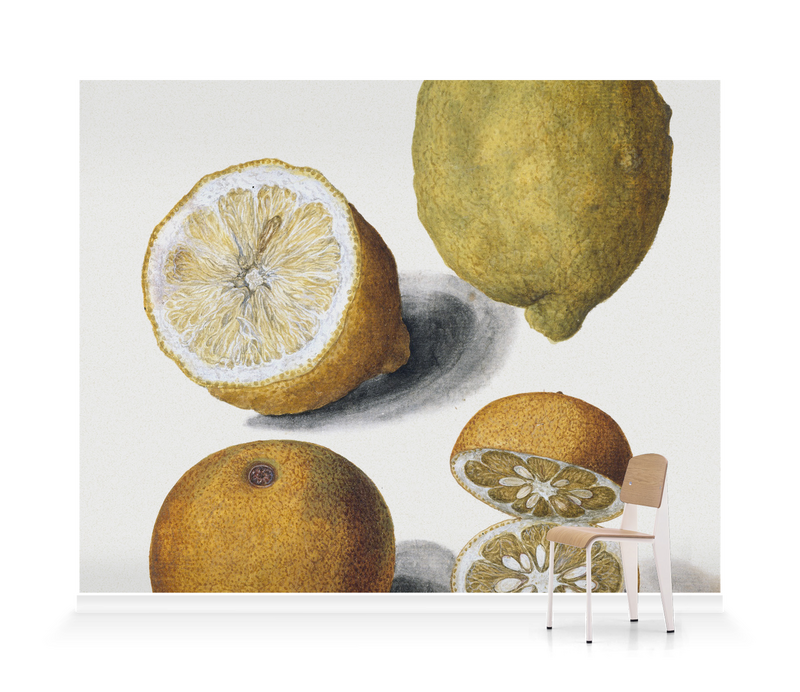'Orange and Lemons' Wallpaper Mural