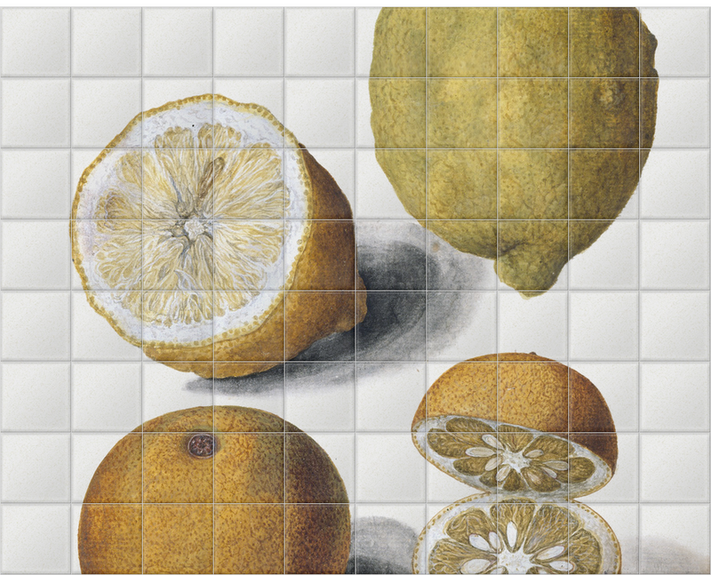 'Orange and Lemons' Ceramic Tile Mural