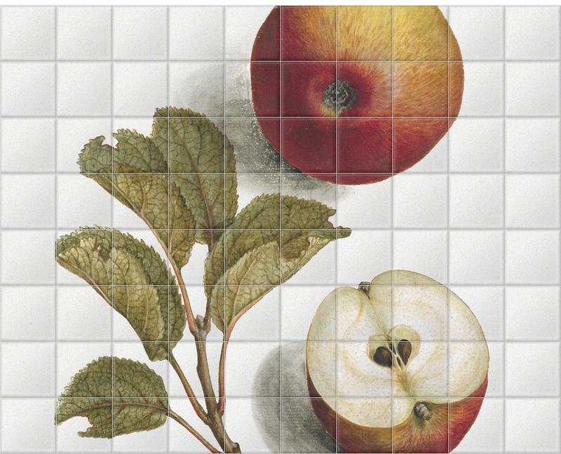 'Apples' Ceramic Tile Mural