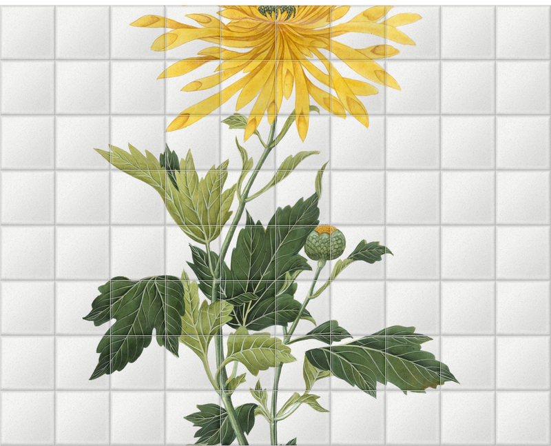 'Study of a Chrysanthemum' Ceramic Tile Mural