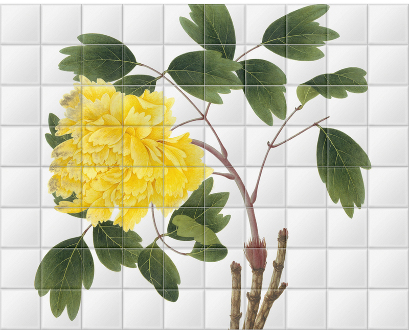 'Yellow Peony' Ceramic Tile Mural