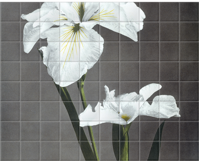 'Iris Kaempferi ' Ceramic Tile Mural