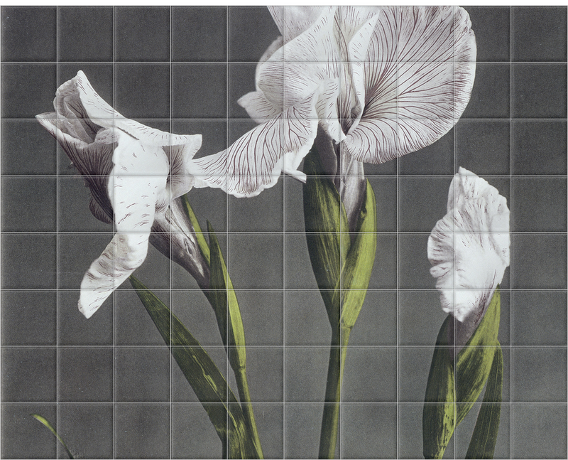 'Iris Kaempferi II' Ceramic Tile Mural
