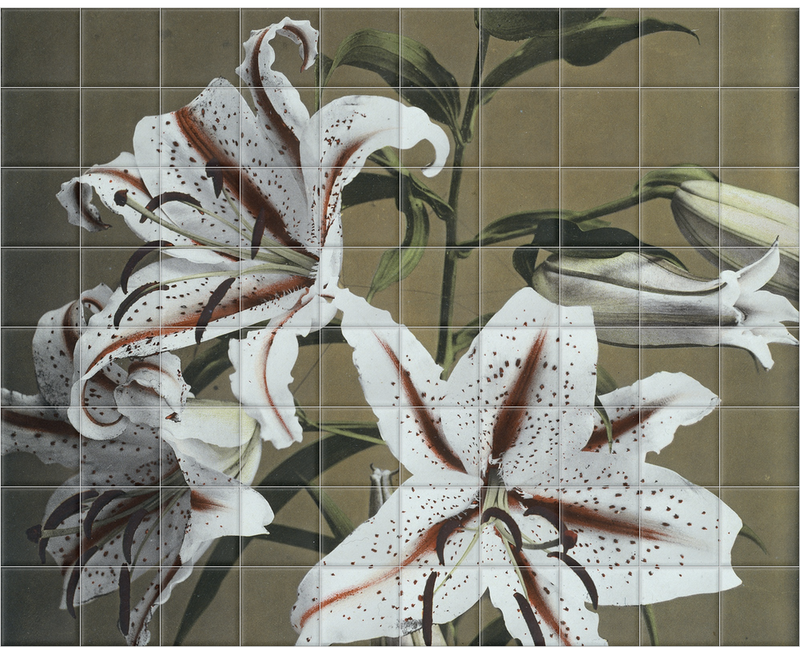 'Lily' Ceramic Tile Mural