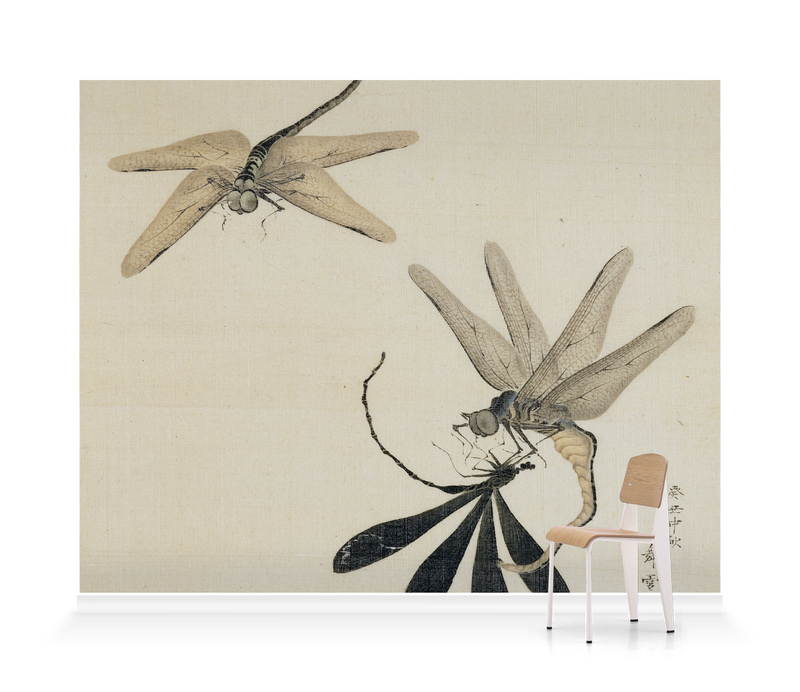 'Dragonflies' Wallpaper Mural