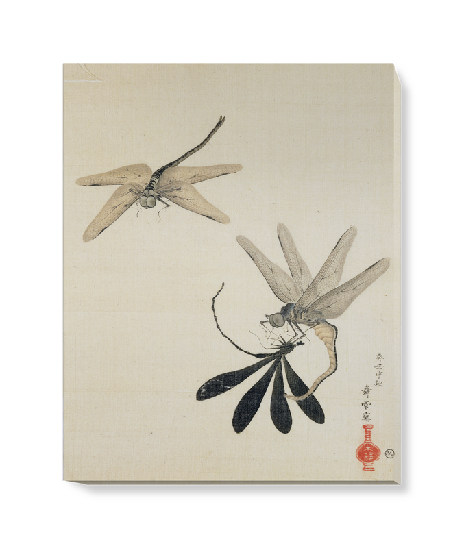 'Dragonflies' Canvas Wall Art