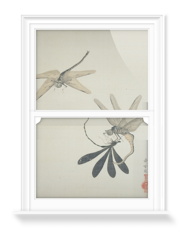 'Dragonflies' Decorative Window Films