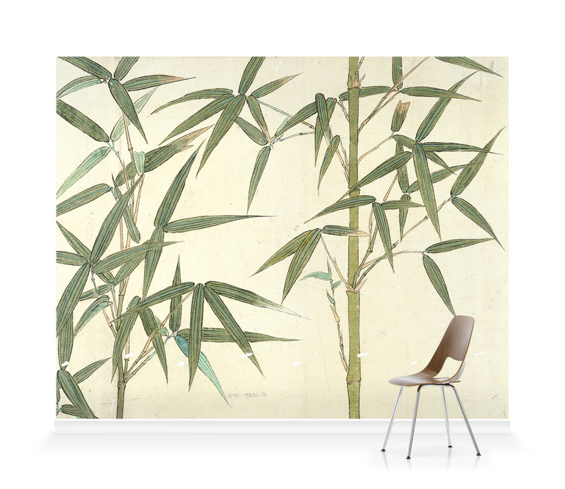 'Drawing of Bamboo' Wallpaper Mural