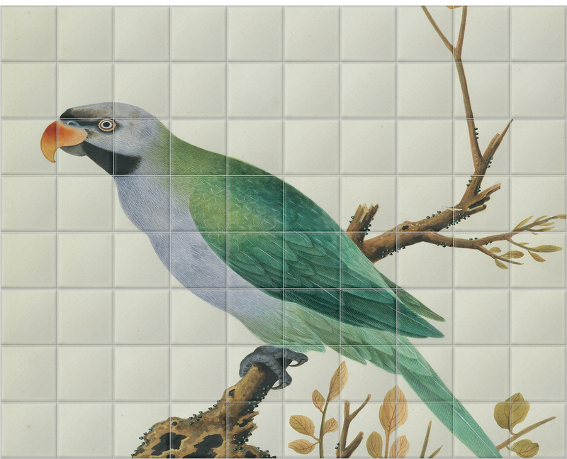 'Derbyan Parakeet' Ceramic Tile Mural