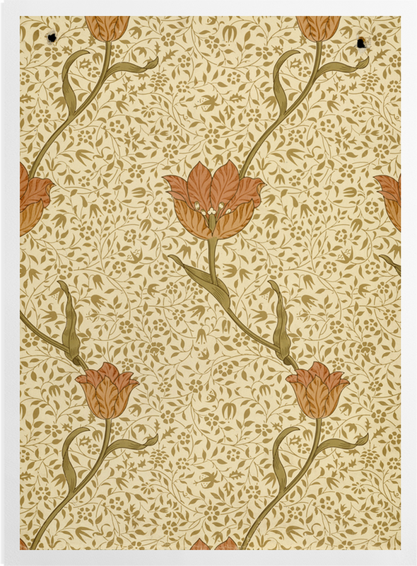 'Garden Tulip Wallpaper' Art Prints