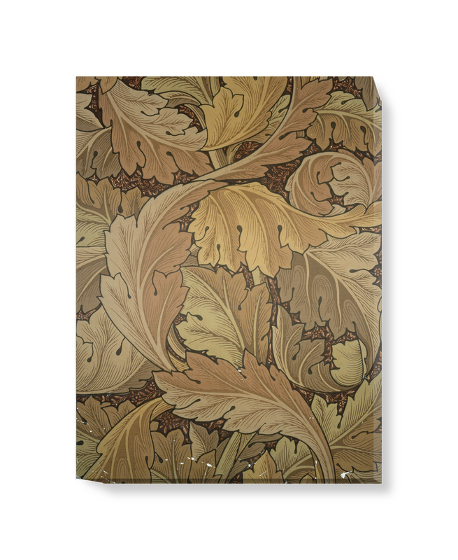 'Acanthus (brown)' Canvas wall art