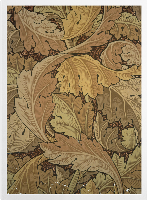 'Acanthus (brown)' Art prints