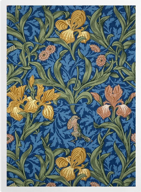 'Iris (blue)' Art Prints