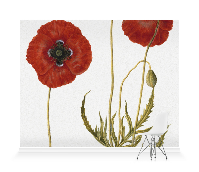 'Corn Poppy' Wallpaper Mural