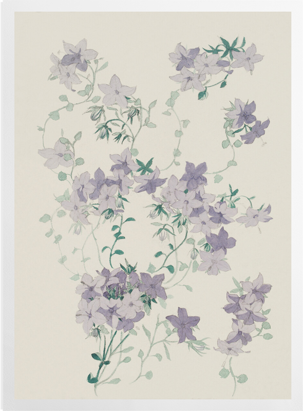 'Cornuaud Flowers' Art Prints