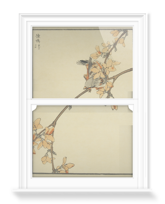 'Bird and Blossom (Bordered)' Decorative Window Films