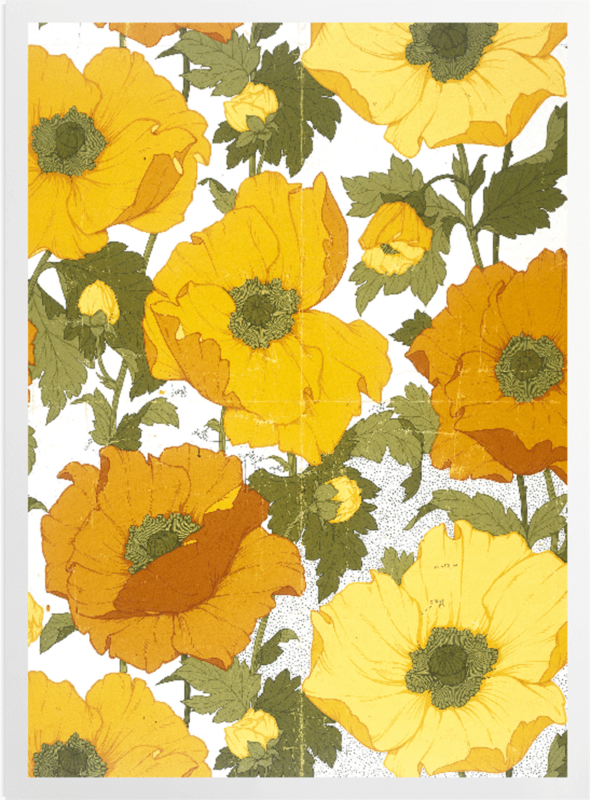 'Summer Poppies' Art Prints